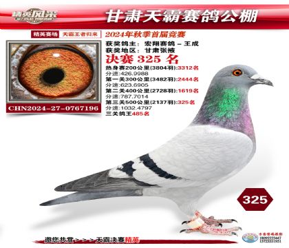 甘肅天霸決賽325名