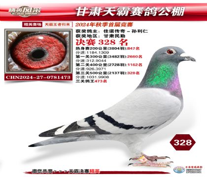 甘肅天霸決賽328名