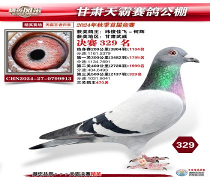 甘肅天霸決賽329名