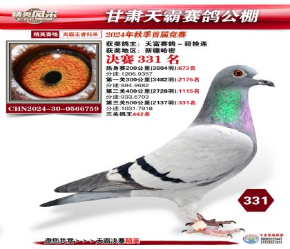 甘肅天霸決賽331名