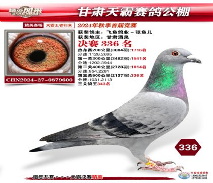 甘肅天霸決賽336名