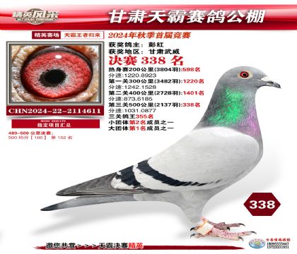 甘肅天霸決賽338名