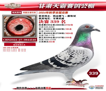 甘肅天霸決賽339名