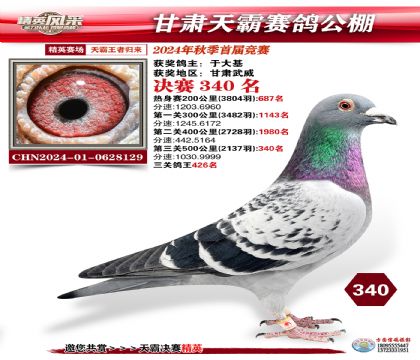 甘肅天霸決賽340名