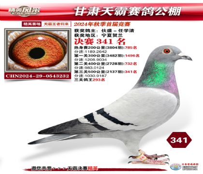 甘肅天霸決賽341名