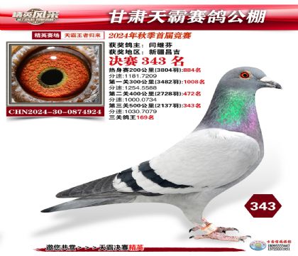 甘肅天霸決賽343名