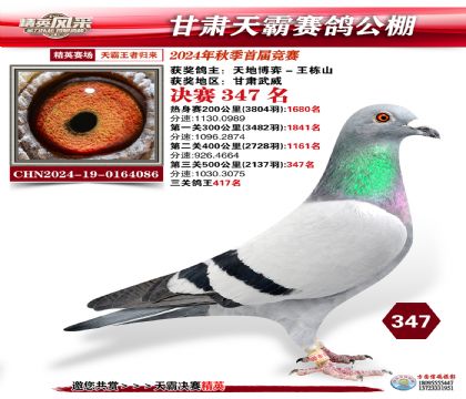 甘肅天霸決賽347名