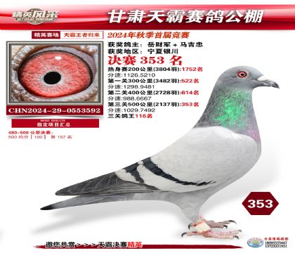 甘肅天霸決賽353名