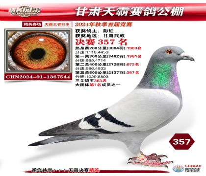 甘肅天霸決賽357名