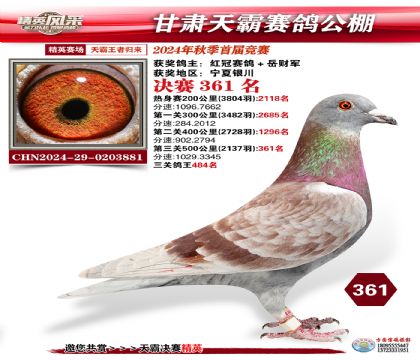 甘肅天霸決賽361名