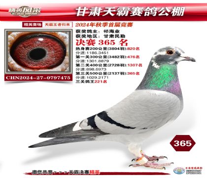 甘肅天霸決賽365名