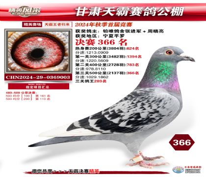 甘肅天霸決賽366名