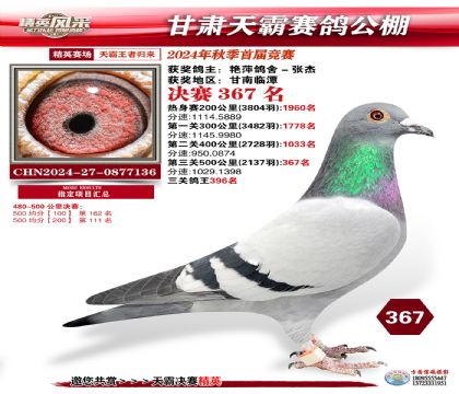 甘肅天霸決賽367名