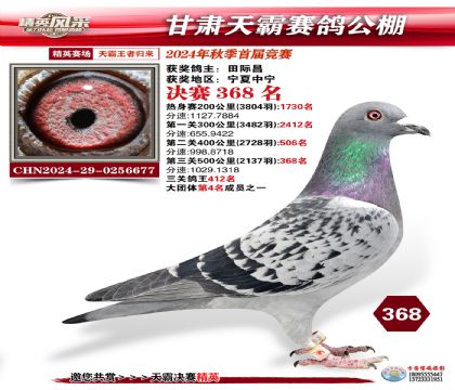 甘肅天霸決賽368名