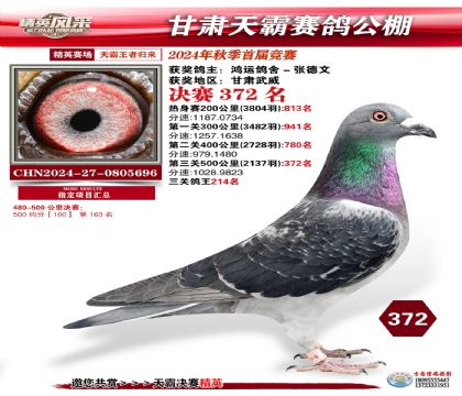 甘肅天霸決賽372名