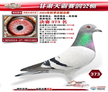 甘肅天霸決賽373名