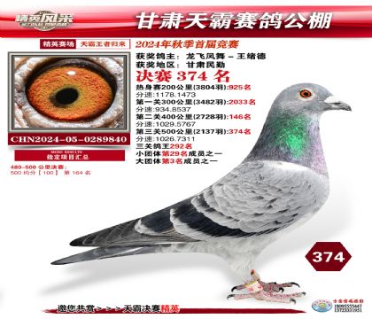 甘肅天霸決賽374名