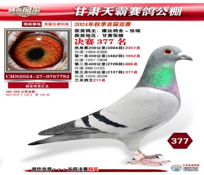甘肅天霸決賽377名