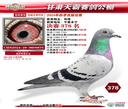 甘肅天霸決賽378名