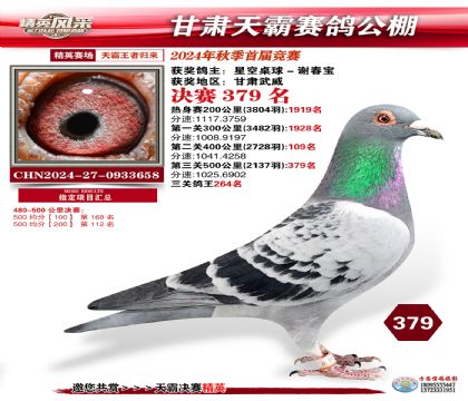 甘肅天霸決賽379名