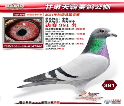 甘肅天霸決賽381名