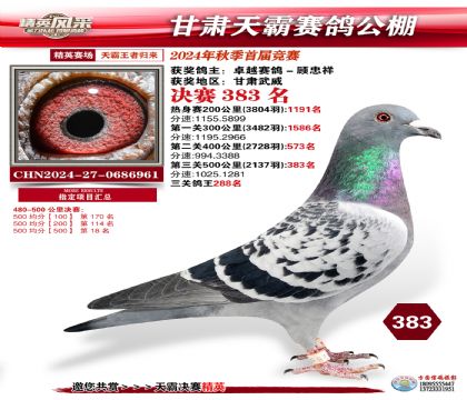 甘肅天霸決賽383名