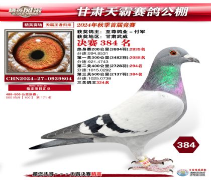 甘肅天霸決賽384名