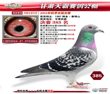 甘肅天霸決賽385名