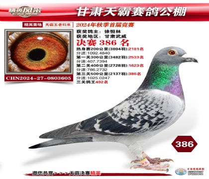 甘肅天霸決賽386名