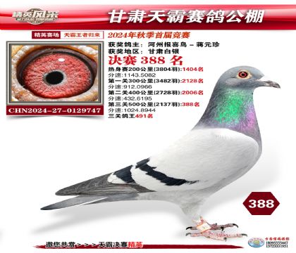 甘肅天霸決賽388名