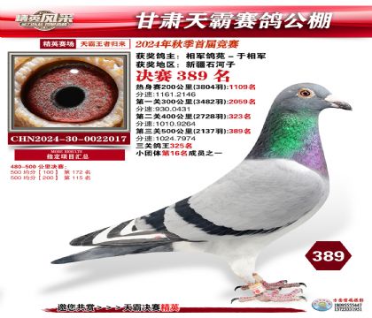 甘肅天霸決賽389名