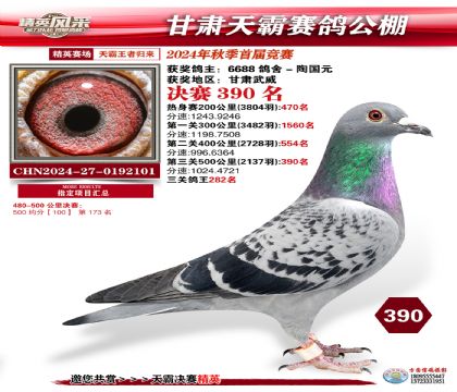 甘肅天霸決賽390名