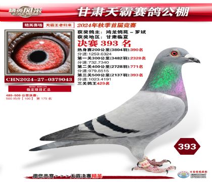 甘肅天霸決賽393名