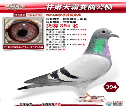 甘肅天霸決賽394名