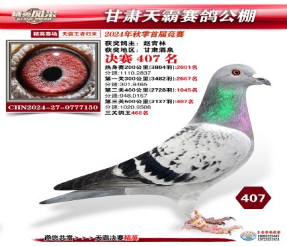 甘肅天霸決賽407名