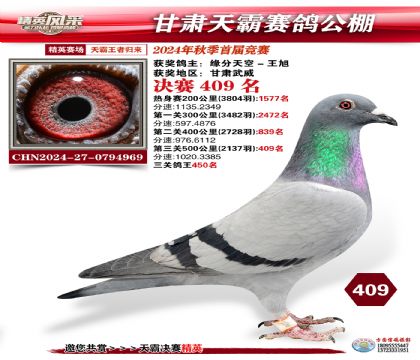 甘肅天霸決賽409名