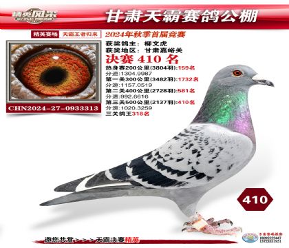 甘肅天霸決賽410名