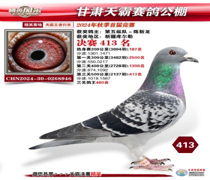 甘肅天霸決賽413名