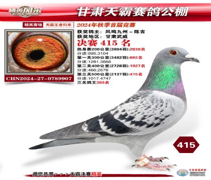甘肅天霸決賽415名