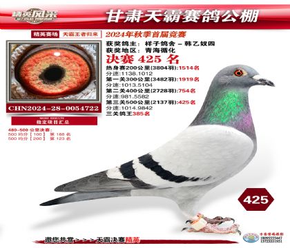 甘肅天霸決賽425名