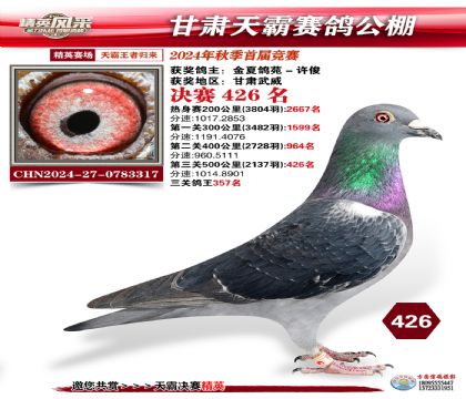 甘肅天霸決賽426名