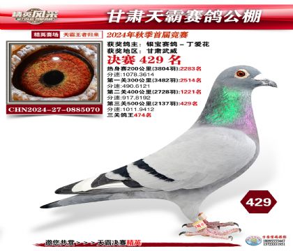 甘肅天霸決賽429名