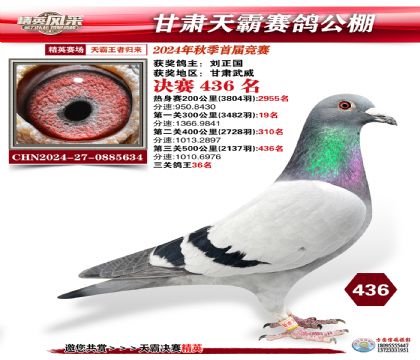 甘肅天霸決賽436名