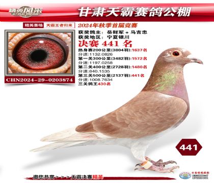 甘肅天霸決賽441名