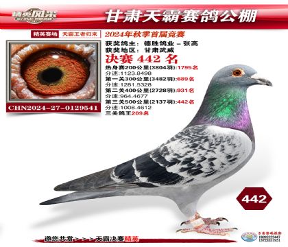 甘肅天霸決賽442名