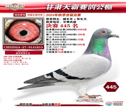 甘肅天霸決賽445名