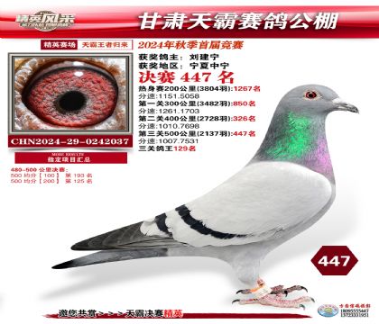 甘肅天霸決賽447名