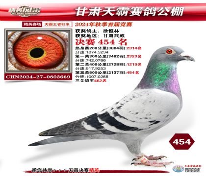 甘肅天霸決賽454名