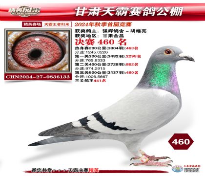 甘肅天霸決賽460名