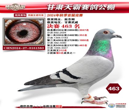 甘肅天霸決賽463名